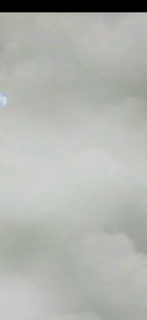 国家队以外阵容探索---自杀小分队