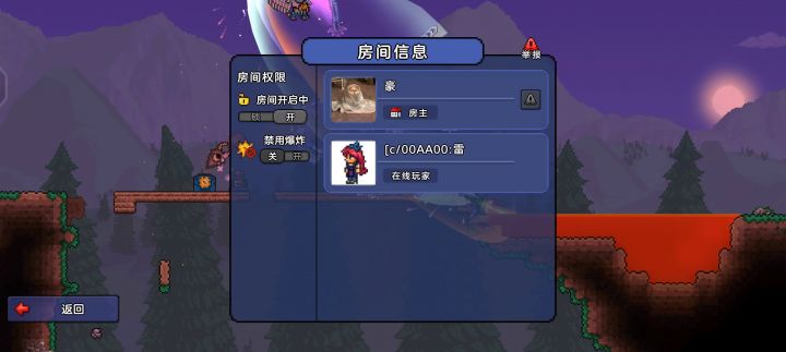 国服泰拉10.19日玩家举报（补发2） 5截图