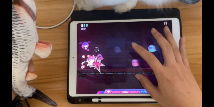 一边逗猫一边单手全连截图