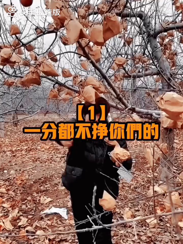 video-2229361
