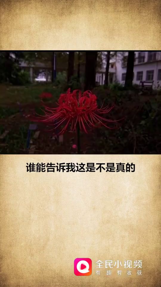 ，截图