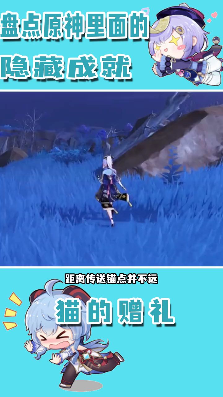 video-2232231