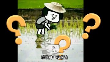 先锋斥候来报！新赛季战局变化莫测，同盟玩法再添新花样