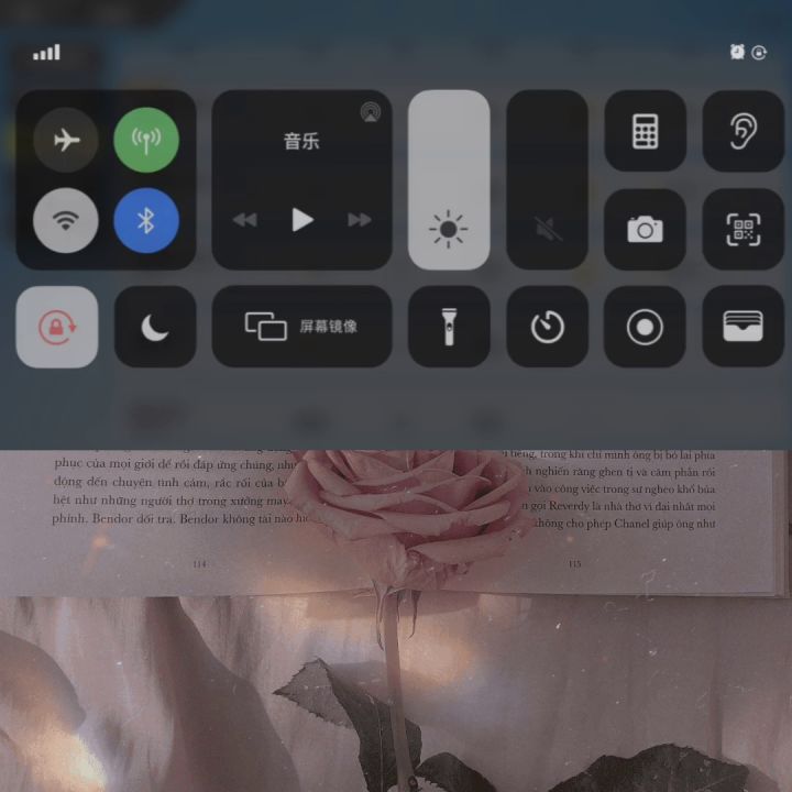 战绩太惨啦!截图