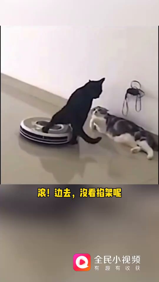 ，截图