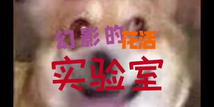 大佬的静电河豚,一起来看看吧!截图