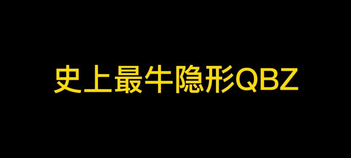 QBZ的隐形皮肤截图