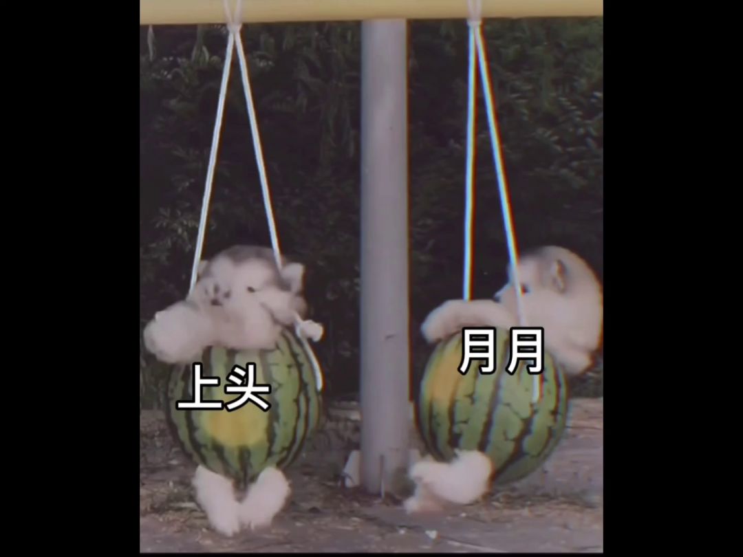 video-2241873