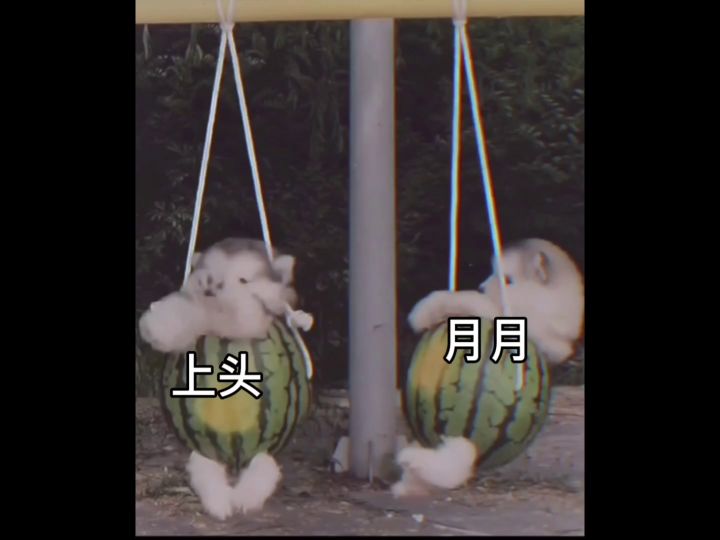 庆祝在一起的一个月截图