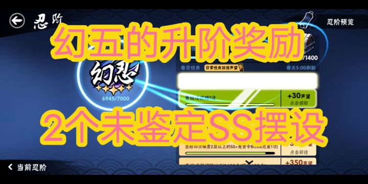 幻五升阶的两个未鉴定SS摆设截图