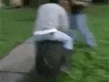 野猪驯服新手骑士的珍贵影像