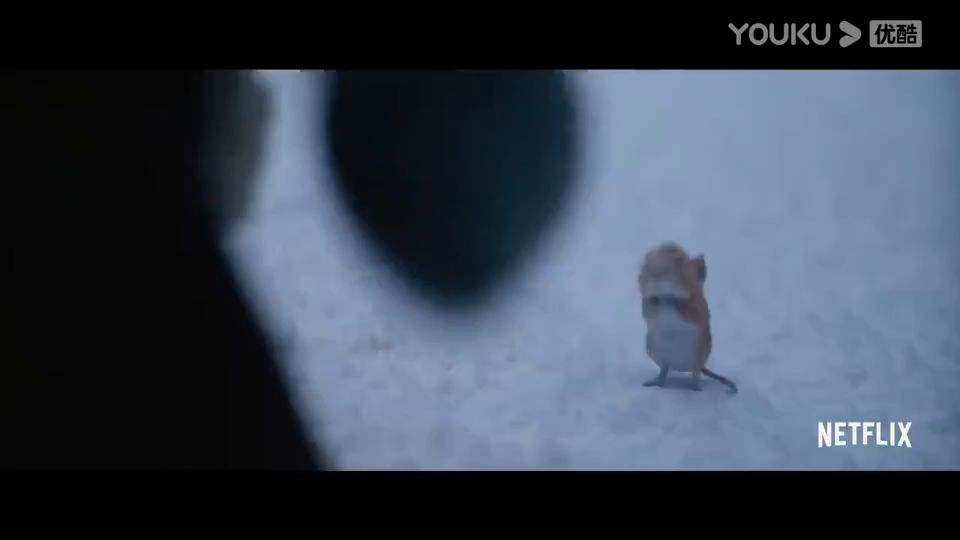 video-2245214