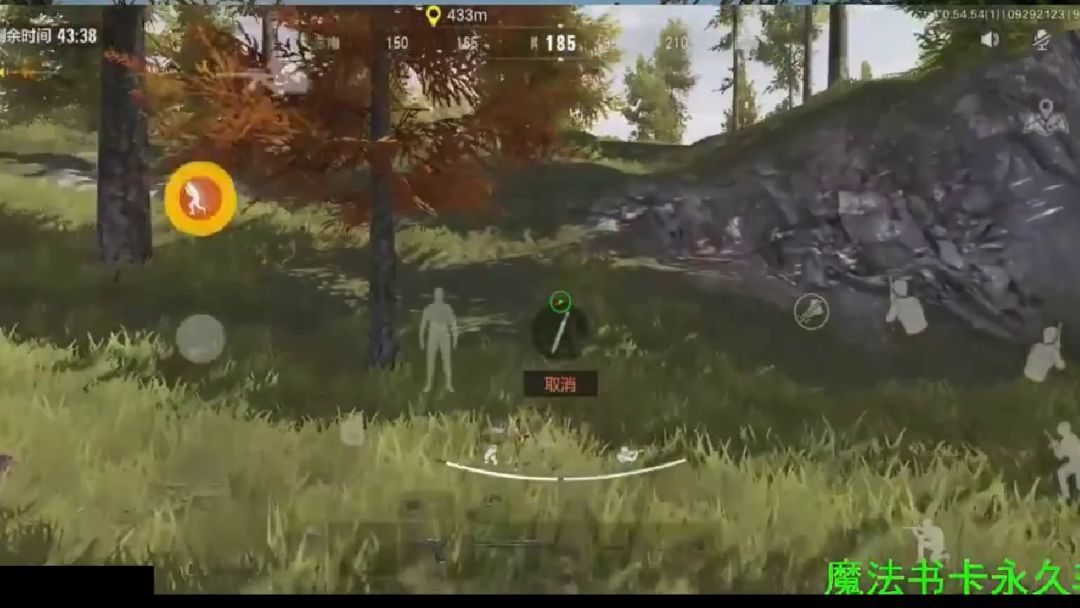 video-2246434