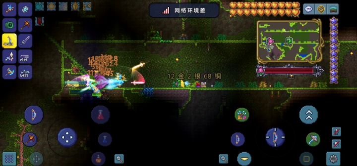 这网络把世纪之花都卡的不动了截图
