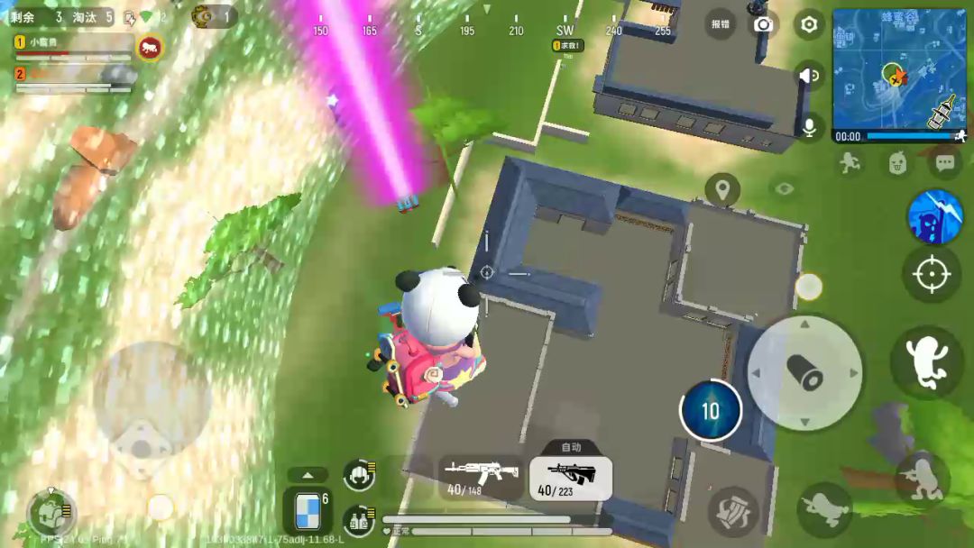 video-2248798