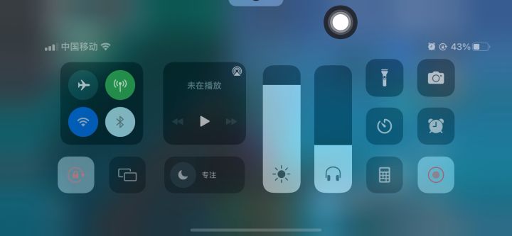 树上游泳截图
