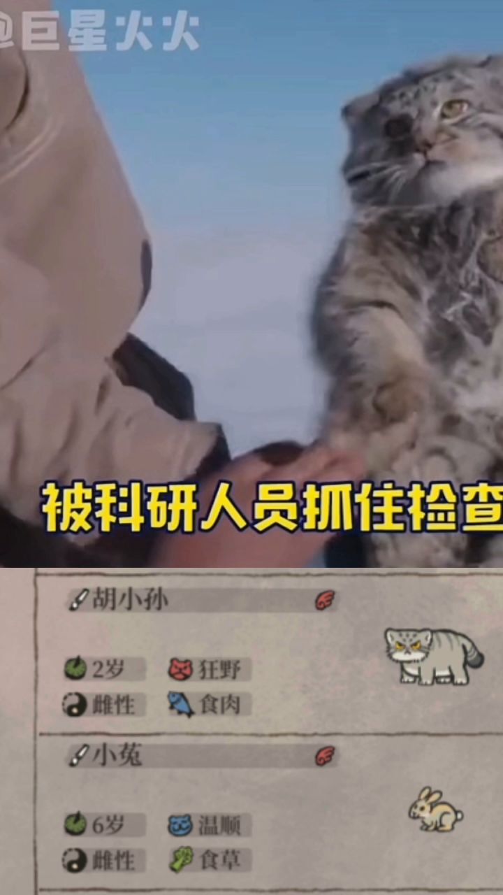 第一次感受到实物比图片更可爱是什么体验~截图