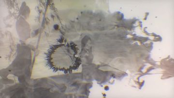 我的侠客——周年庆活动内容盘点