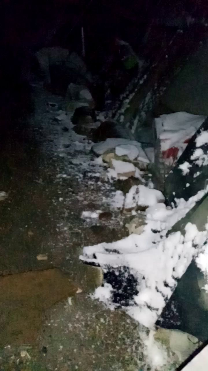 希望雪休!截图