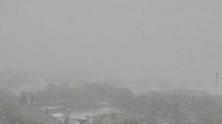 看这皑皑白雪截图