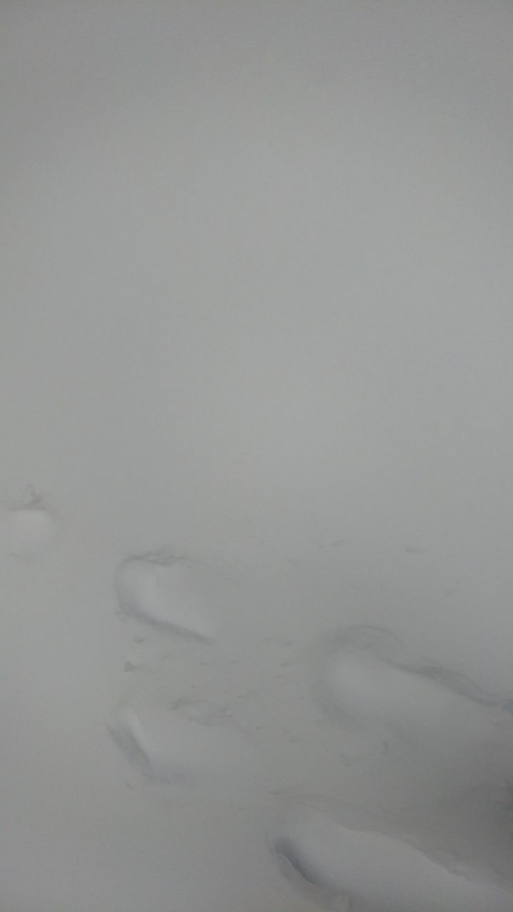 南方的小伙伴快来康雪啦！截图