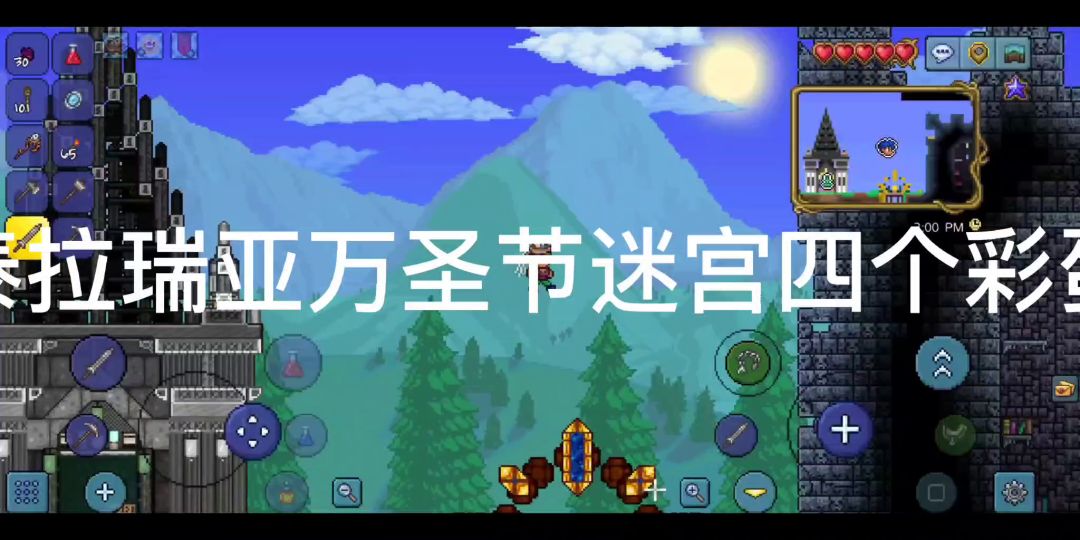 video-2255728
