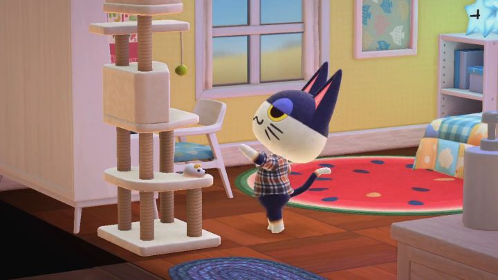 是猫猫！动森更新「猫咪与猫爬架互动」的功能后，今天推上最热门的猫猫图就变成了：截图