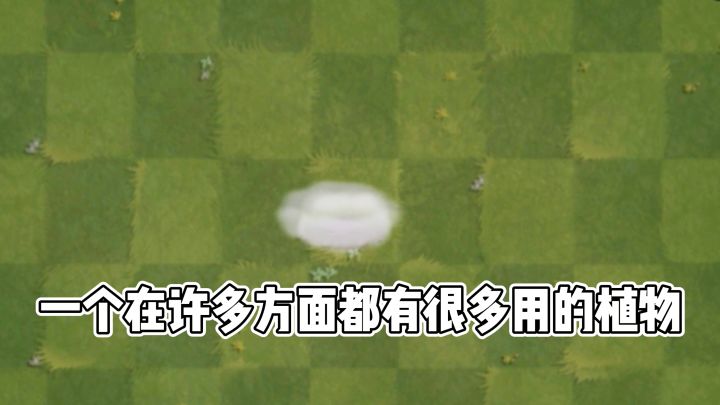 pvz的梗 万能阳寿截图