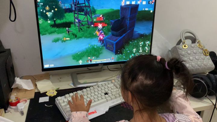 游戏操作简单，5岁半的小孩也可以顺畅打怪截图