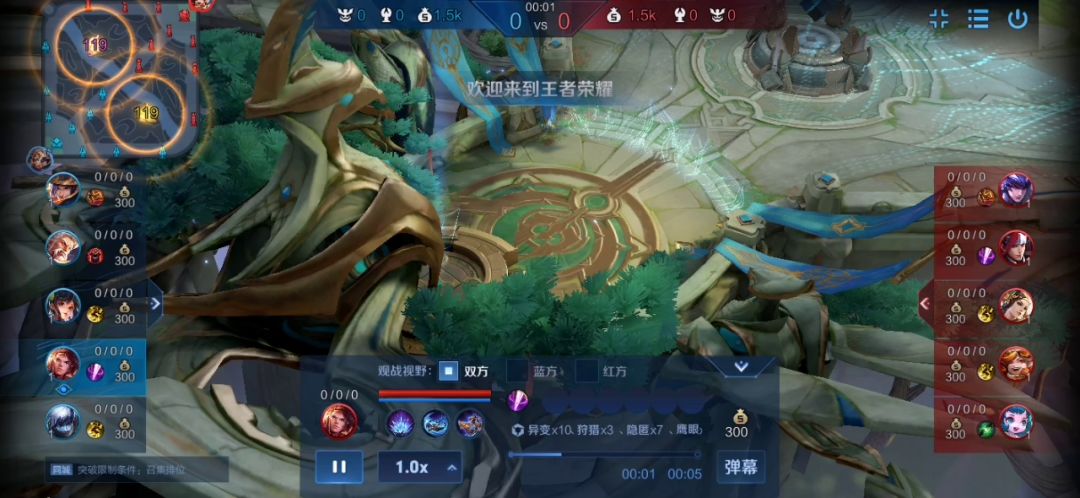 video-2265697