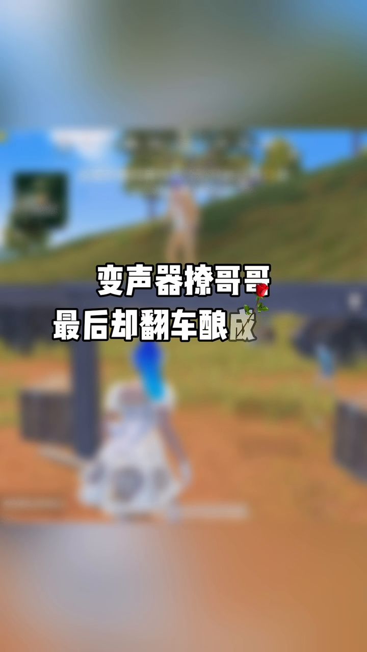我很喜欢你 但我妈不同意 所以对不起 #和平精英 #变声器吃鸡截图