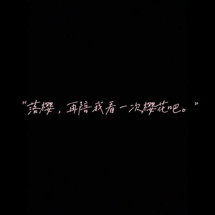 落樱,再陪我看次樱花吧截图