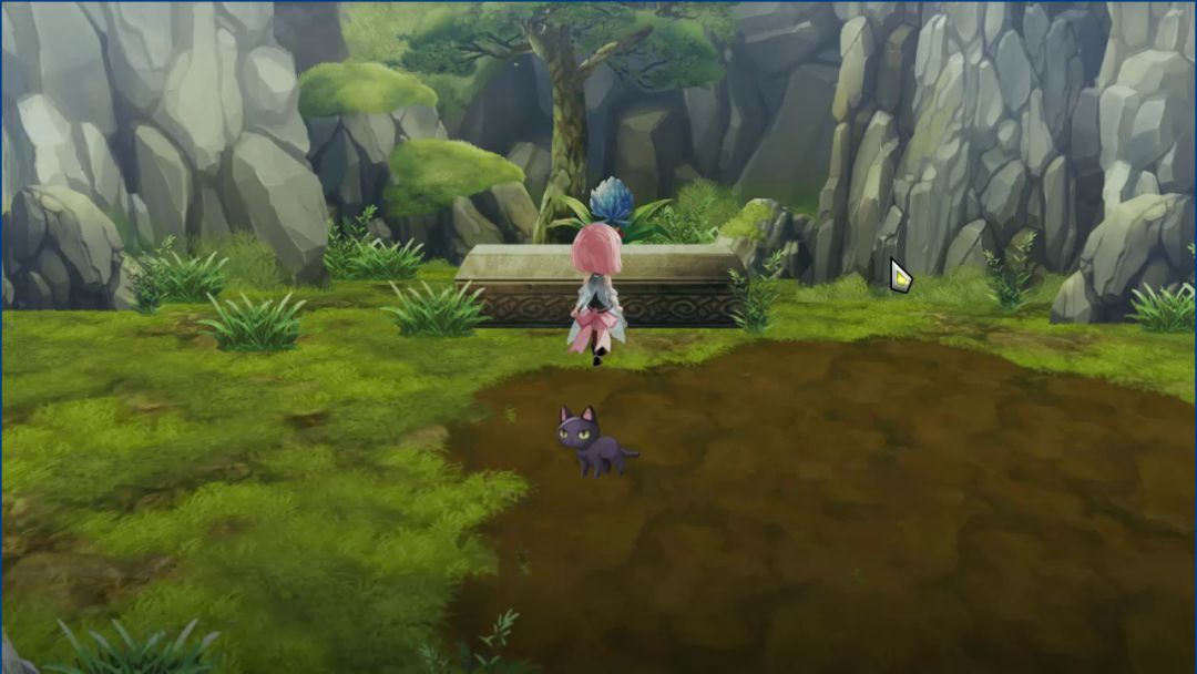 video-2269820