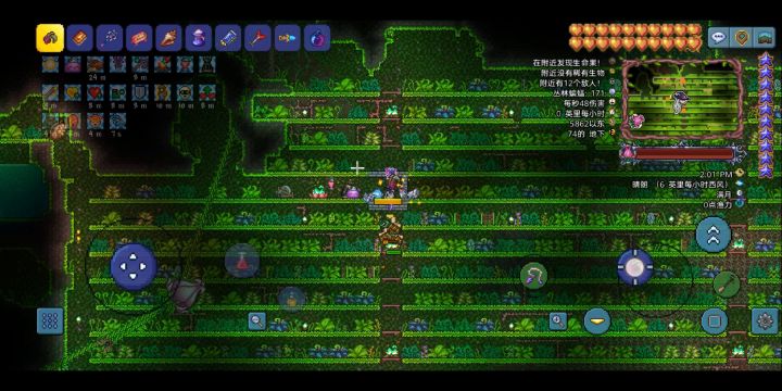 王前武器和饰品站撸大师世纪之花截图