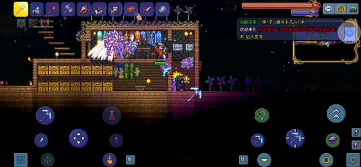 国服泰拉11.28违规玩家反馈(补)截图