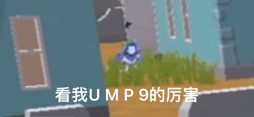 video-2287818