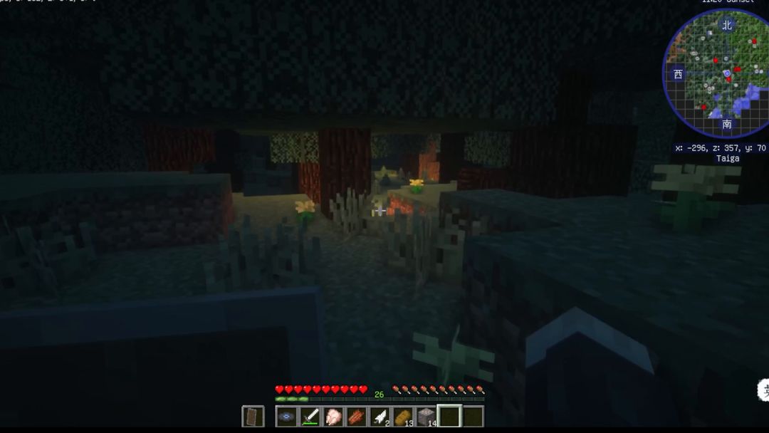 video-2288323