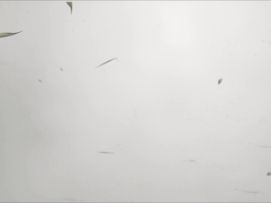 DEEMO古树旋律 v5.0.0 现已更新！