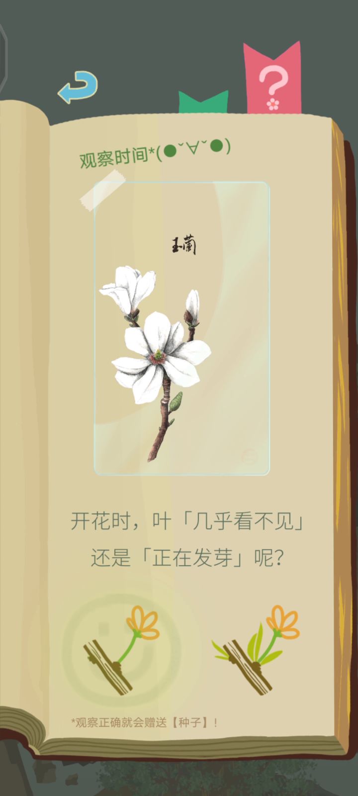最近拿到的玉兰全是这样……截图