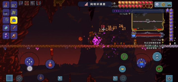 同志剑戳史莱姆王截图