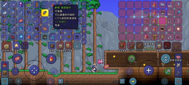 发个视频就行了吗？青铜短剑打史莱姆王。截图