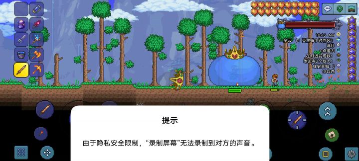 铜短大战史莱姆王截图
