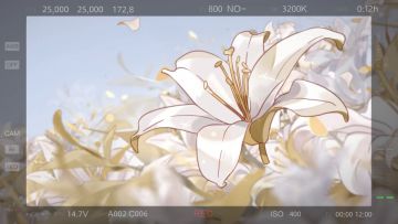 出道角色大赏第二弹！2022爆款剧，都被你承包了！