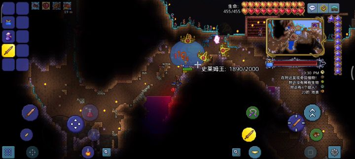 铜短剑打史莱姆王截图