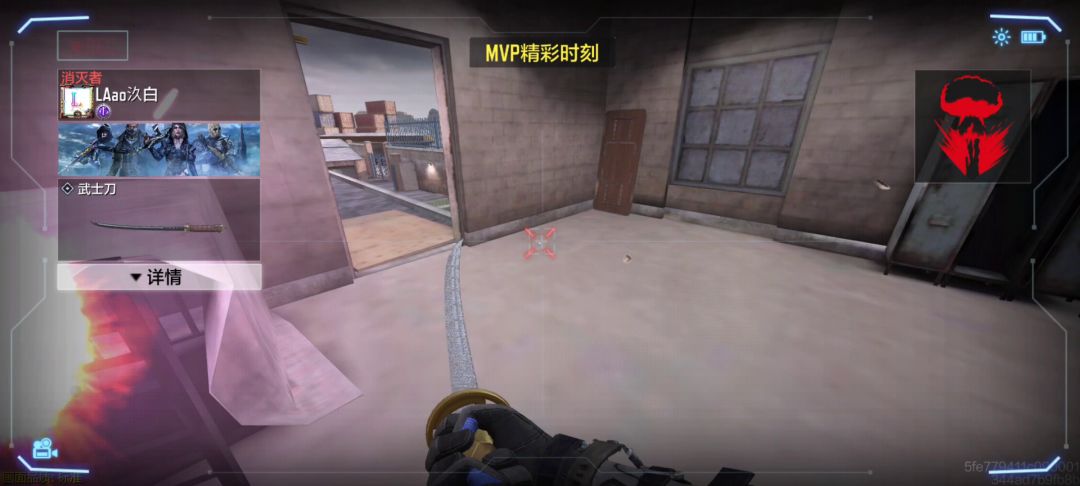 video-2294797