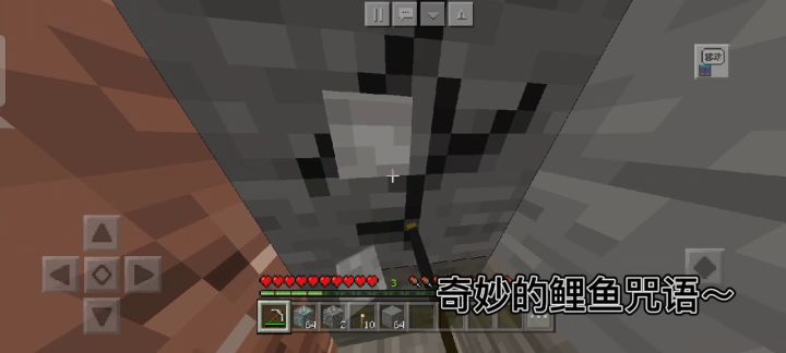 鲤鱼咒语截图