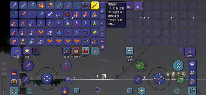同志短剑击杀史莱姆王截图