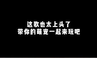 这歌也太上头了，带你的萌宠一起来玩吧