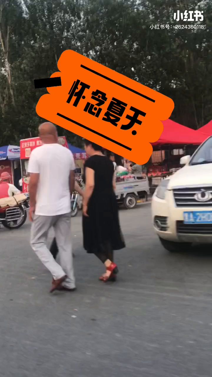 怀念夏天截图