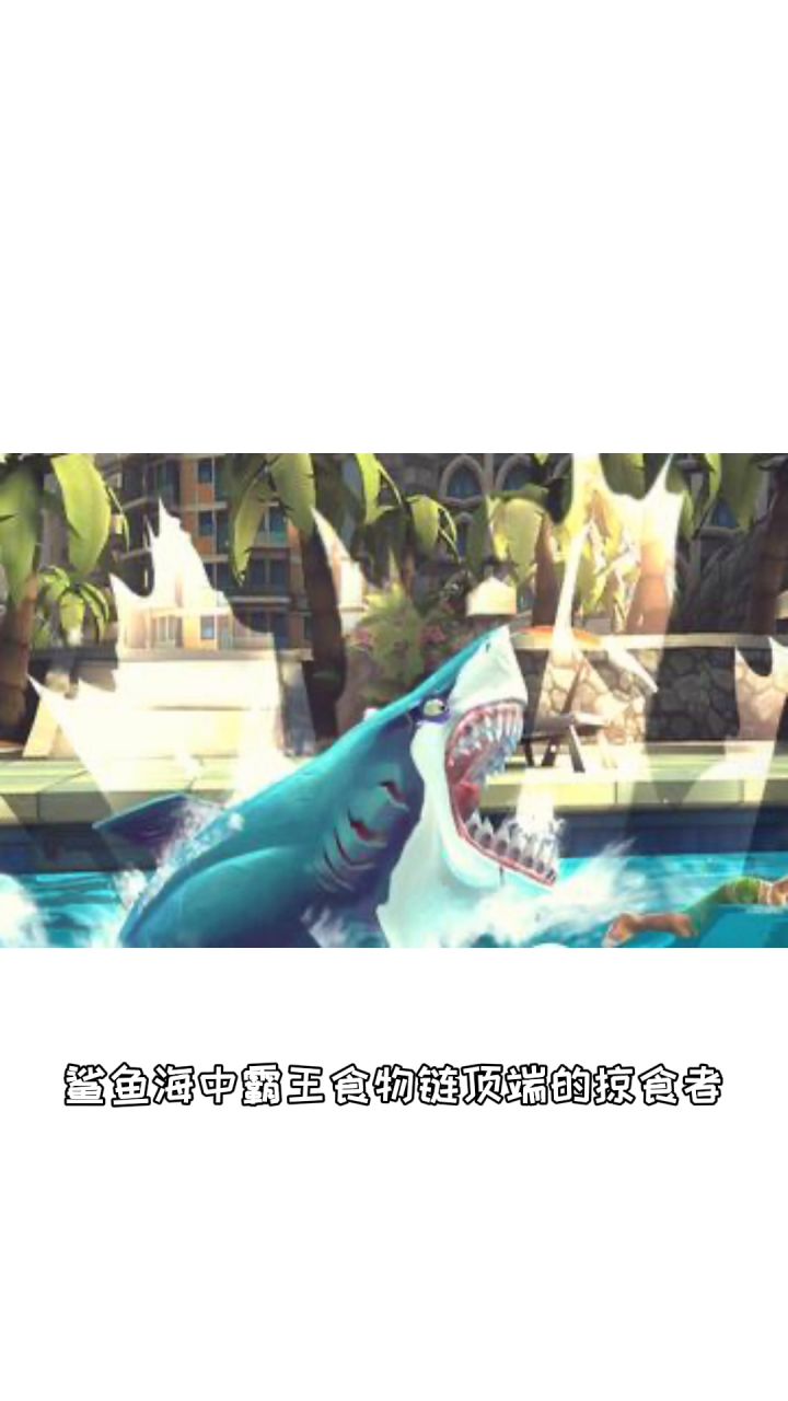 鲨死给!鲨鲨强势来袭截图